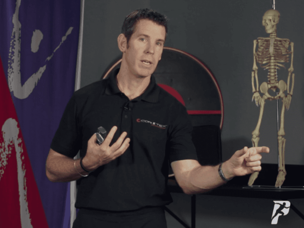 Pain Free Movement Specialist