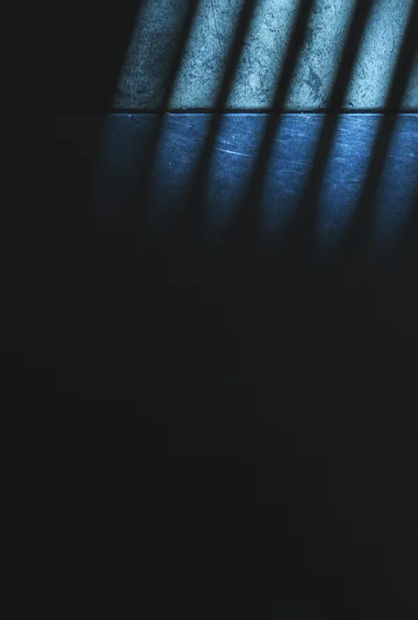 home section 4 column background